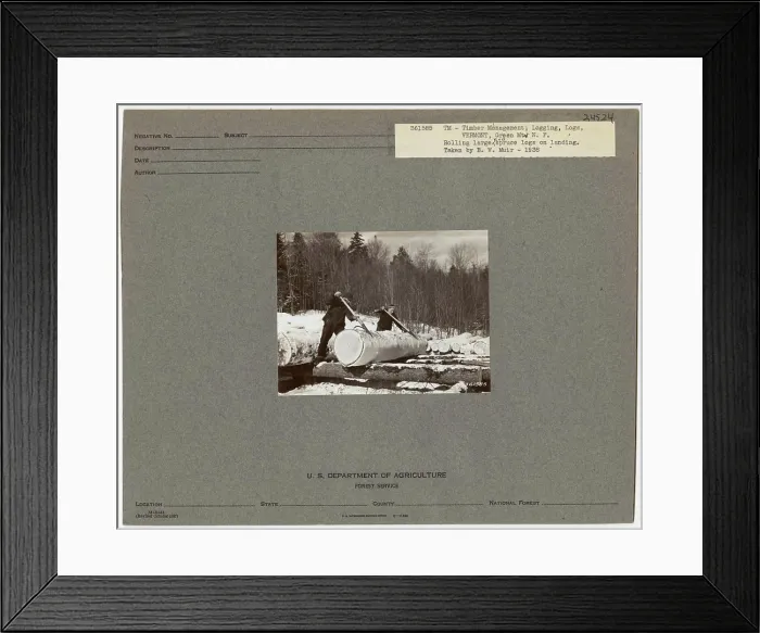 Framed Print : Logging Camps and Crews - Vermont Framed Print : Logging Camps and Crews - Vermont