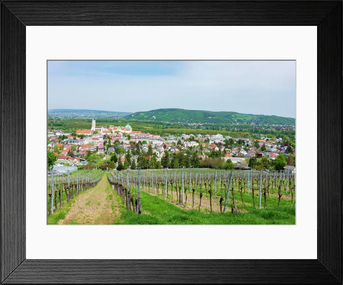 Framed Print : Klosterneuburg Abbey, town, vineyard Klosterneuburg Wienerwald, Vienna Woods Niederösterreich, Lower Austria Austria Framed Print : Klosterneuburg Abbey, town, vineyard Klosterneuburg Wienerwald, Vienna Woods Niederösterreich, Lower Austria Austria