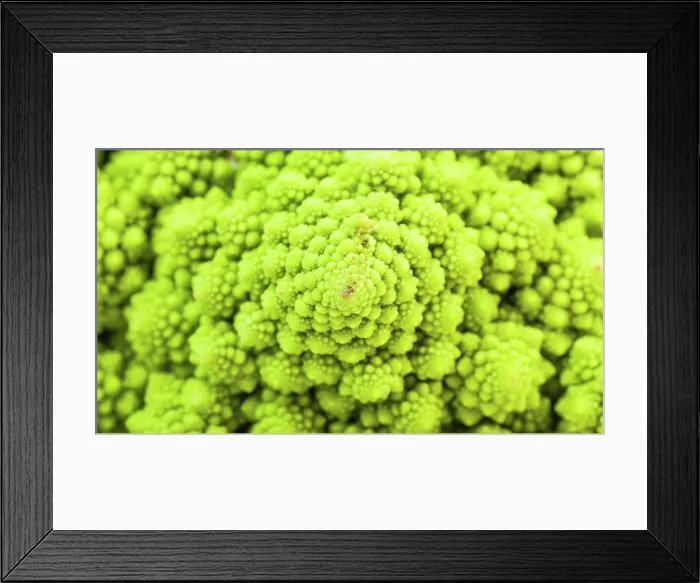 Framed Print : surface of fresh romanesco broccoli close-up natural food panoramic background - surface of fresh romanesco broccoli Framed Print : surface of fresh romanesco broccoli close-up natural food panoramic background - surface of fresh romanesco broccoli