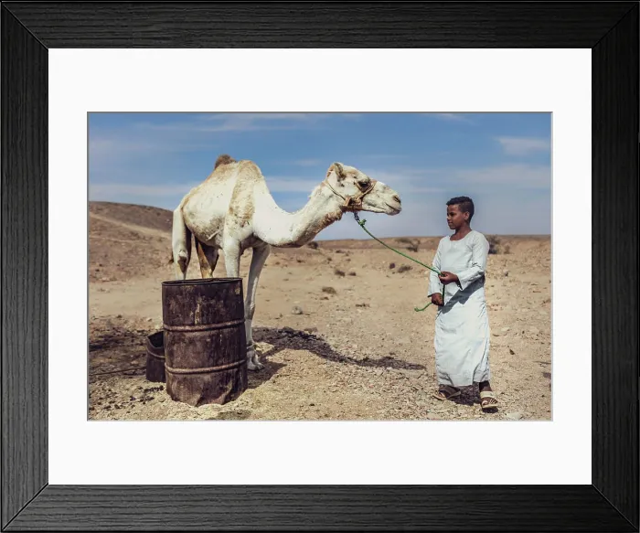 Framed Print : Marsa alam, egypt 9 february 2025 Framed Print : Marsa alam, egypt 9 february 2025