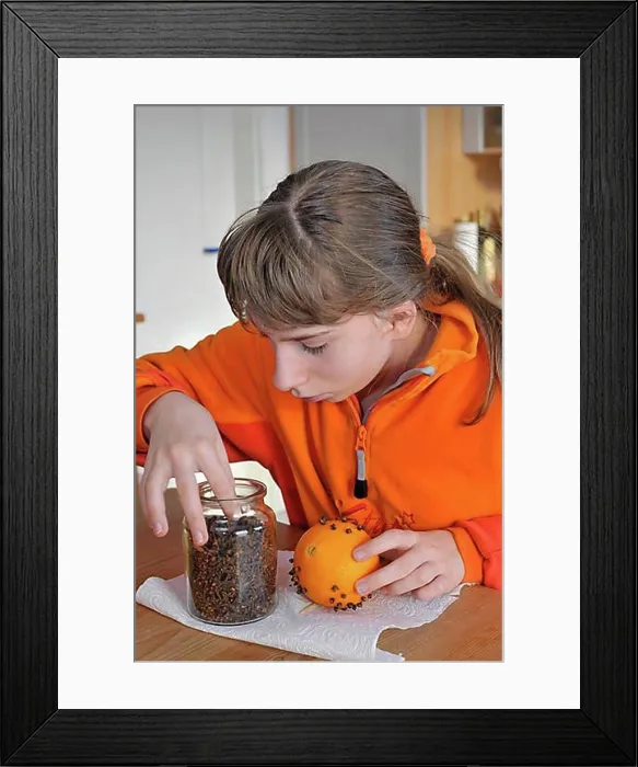 Framed Print : Girl crafting an air freshener from an orange and cloves, pomander Framed Print : Girl crafting an air freshener from an orange and cloves, pomander