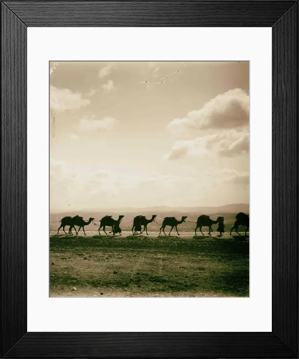 Framed Print : Caravan silhouette 1898, Middle East, Israel and / or Palestine Framed Print : Caravan silhouette 1898, Middle East, Israel and / or Palestine