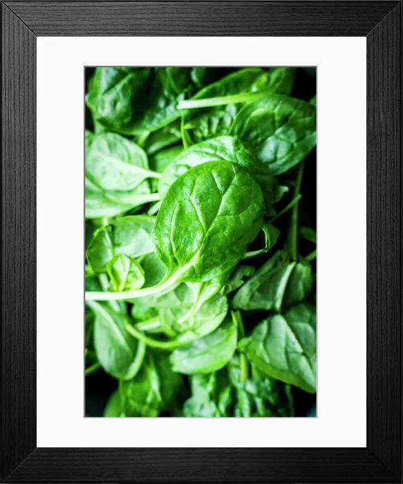 Framed Print : Fresh spinach Framed Print : Fresh spinach