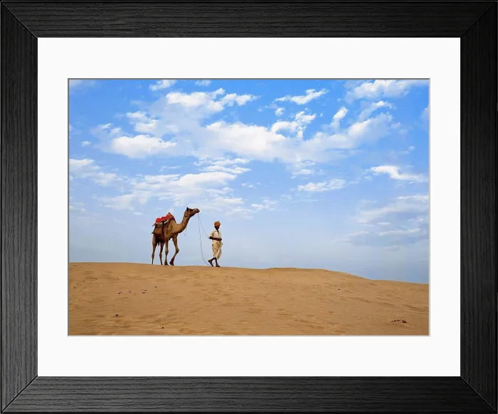 Framed Print : Man With Camel In Thar Desert Framed Print : Man With Camel In Thar Desert