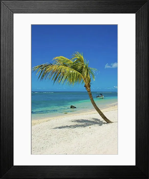 Framed Print : Flic en Flac beach, with palm tree and boat, Mauritius, Africa Framed Print : Flic en Flac beach, with palm tree and boat, Mauritius, Africa