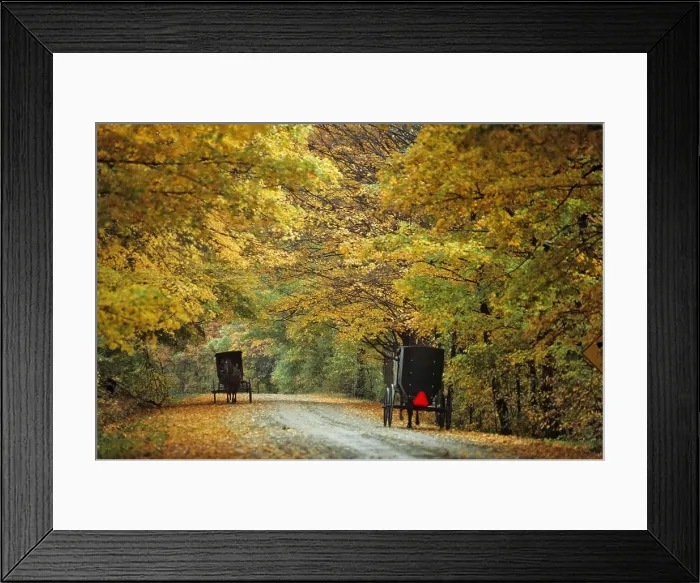 Framed Print : TWO AMISH BUGGIES ON AUTUMN COUNTRY LANE LANCASTER COUNTY PENNSYLVANIA USA