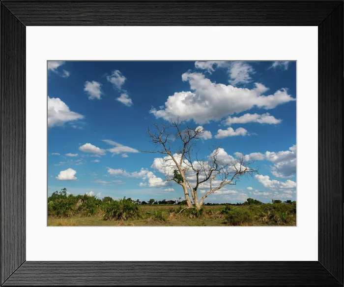 Framed Print : Photo of the dry landscape of the Jao Concession, Okavango Delta in Botswana with no water after years of draught Framed Print : Photo of the dry landscape of the Jao Concession, Okavango Delta in Botswana with no water after years of draught