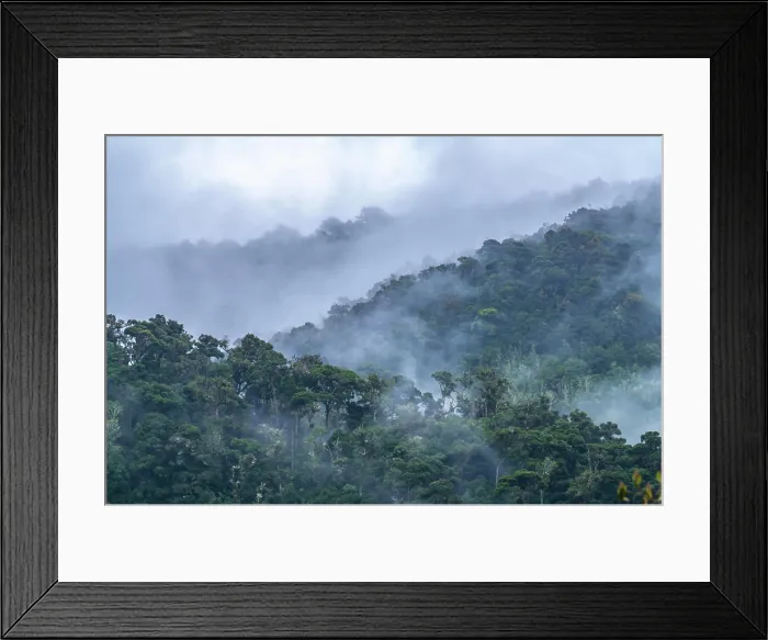 Framed Print : Costa Rica, Cordillera de Talamanca. Fog on tropical jungle Framed Print : Costa Rica, Cordillera de Talamanca. Fog on tropical jungle
