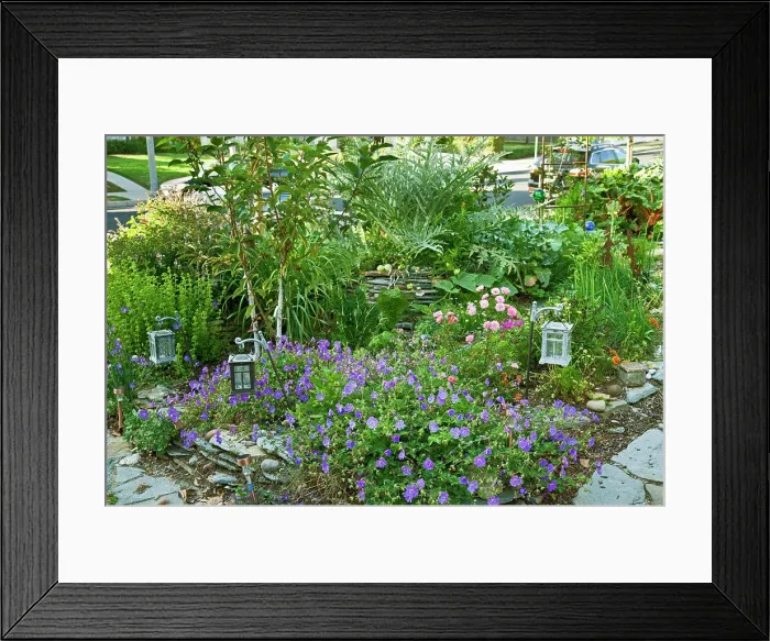 Framed Print : Permaculture Garden designed by Larry Santoyo of Earthflow Design Works Framed Print : Permaculture Garden designed by Larry Santoyo of Earthflow Design Works