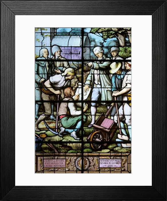 Framed Print : France. Paris 6th district. Avenue de l'Observatoire Framed Print : France. Paris 6th district. Avenue de l'Observatoire