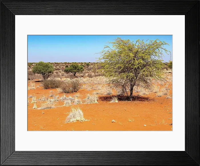 Framed Print : Kalahari Anib Lodge, Gondwana Kalahari Park, Mariental, Namibia, Africa