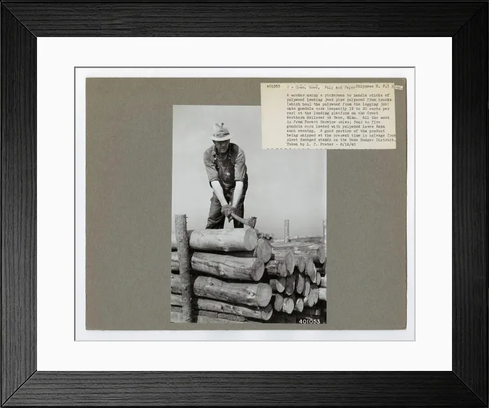 Framed Print : Pulp and Paper Woods - Minnesota
