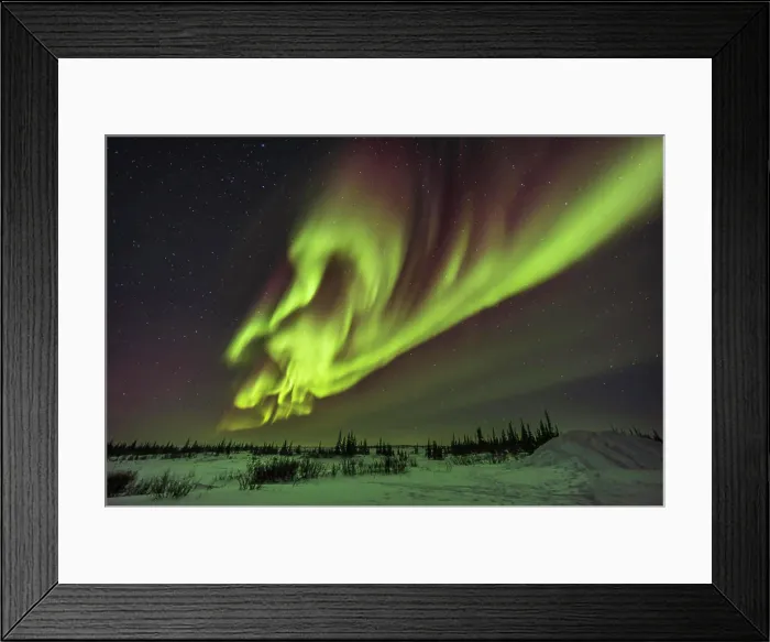 Framed Print : A classic complex of auroral curtains in the northeast sky
