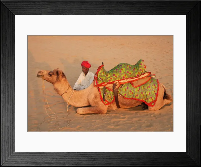 Framed Print : Man with camel on the desert, Jodphur, Rajasthan, India Framed Print : Man with camel on the desert, Jodphur, Rajasthan, India
