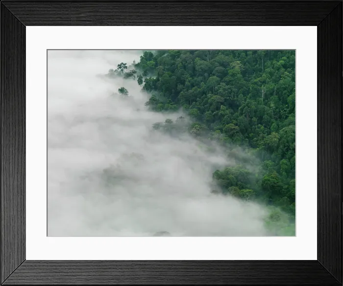 Framed Print : Aerial images of cityscape, landscape, and agriculture in Johor, Malaysia Framed Print : Aerial images of cityscape, landscape, and agriculture in Johor, Malaysia