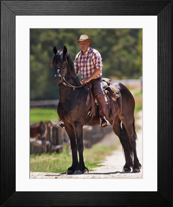 Framed Print : Cowboy, farm and relax on horse in outdoor Framed Print : Cowboy, farm and relax on horse in outdoor