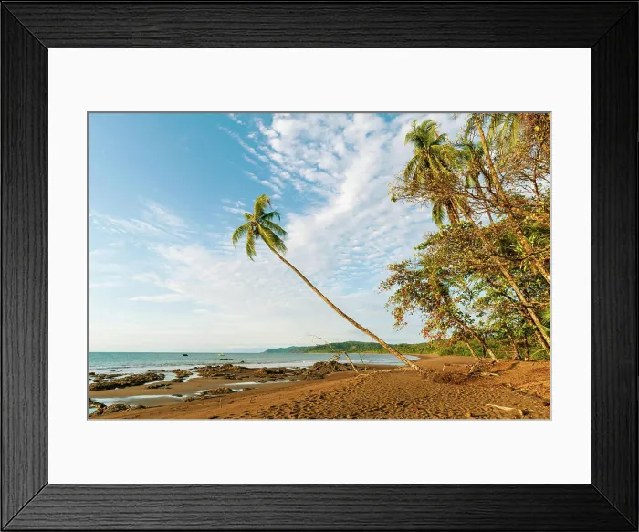 Framed Print : Sandstrand und Palmen, Costa Rica