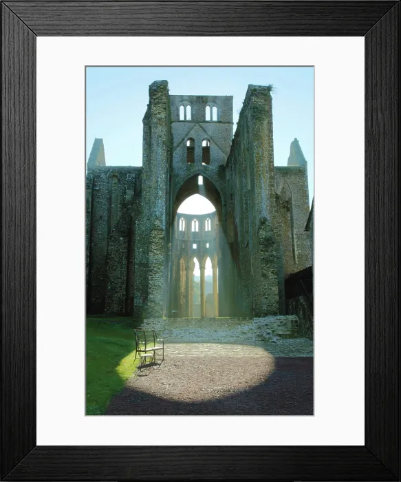 Framed Print : France, Normandy, Manche department (50), Hambye abbey, abbatiale church