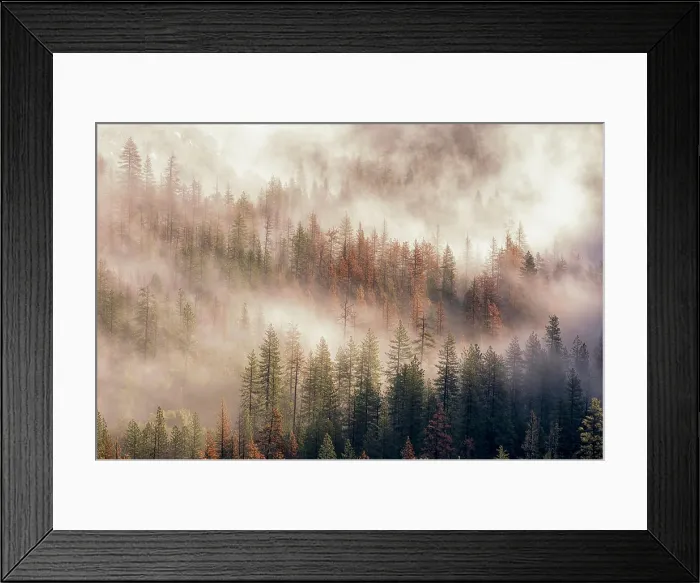 Framed Print : Misty Morning. Seen from Tunnel View. Yosemite National Park, California