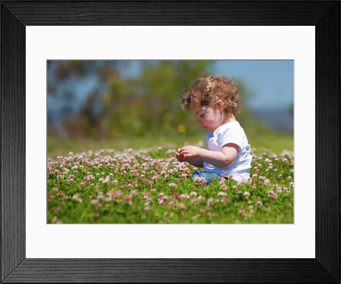 Framed Print : Mädchen Picking Blumen A toddler sits and picks flowers in Queensland Framed Print : Mädchen Picking Blumen A toddler sits and picks flowers in Queensland