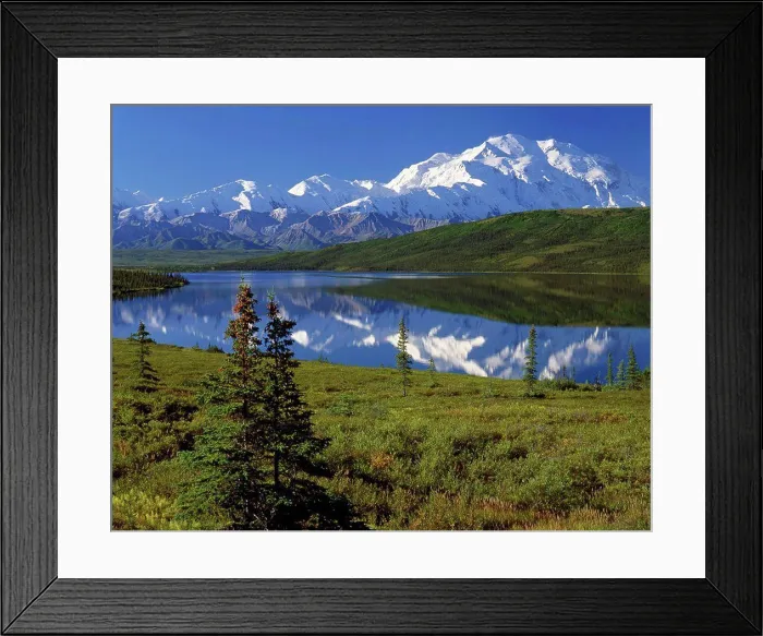 Framed Print : Mt McKinley Wonder Lake Summer Denali NP Interior AK