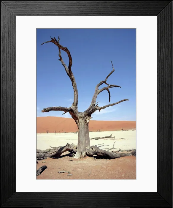 Framed Print : Sossusvlei Desert Dunes Namib Desert Namibia Framed Print : Sossusvlei Desert Dunes Namib Desert Namibia