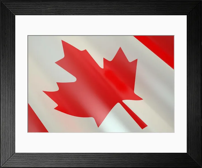 Framed Print : Flagge von Kanada Flag of Canada in the wind LicenseRF Copyright: xZoonar.com / OleksiixMachx 23163788 Framed Print : Flagge von Kanada Flag of Canada in the wind LicenseRF Copyright: xZoonar.com / OleksiixMachx 23163788