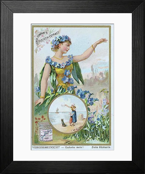 Framed Print : Series of symbols of flowers related to persons Framed Print : Series of symbols of flowers related to persons