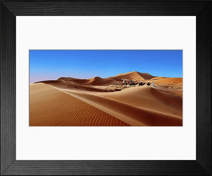 Framed Print : Camel rides on the Sahara sand dunes of Erg Chebbi, Morocco, Africa Framed Print : Camel rides on the Sahara sand dunes of Erg Chebbi, Morocco, Africa