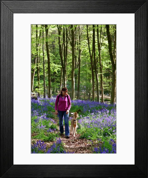 Framed Print : England, Wiltshire, near Marlborough Framed Print : England, Wiltshire, near Marlborough