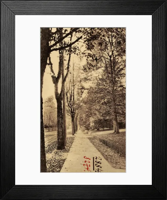 Framed Print : Avenues in the United States, Portland, Oregon, 1906, Ore. Residence Street Framed Print : Avenues in the United States, Portland, Oregon, 1906, Ore. Residence Street