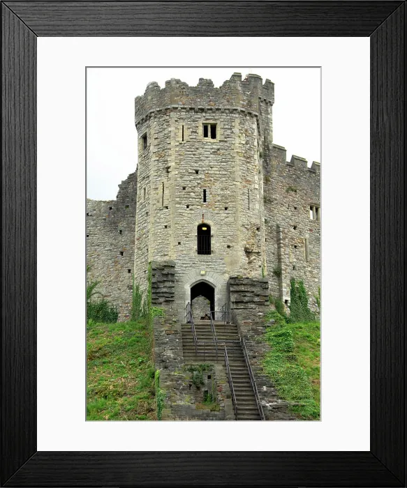 Framed Print : Europe, Wales, Cardiff. Cardiff Castle. THIS IMAGE RESTRICTED - Not available to U.S. land tour travel operators Framed Print : Europe, Wales, Cardiff. Cardiff Castle. THIS IMAGE RESTRICTED - Not available to U.S. land tour travel operators