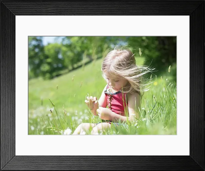 Framed Print : Girls, Picking daisies, Schliersee, Bavaria, Germany, Europe Framed Print : Girls, Picking daisies, Schliersee, Bavaria, Germany, Europe
