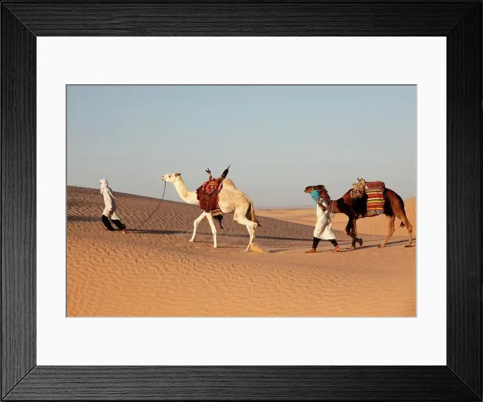 Framed Print : Camel drivers in the Sahara desert Douz. Tunisia Framed Print : Camel drivers in the Sahara desert Douz. Tunisia