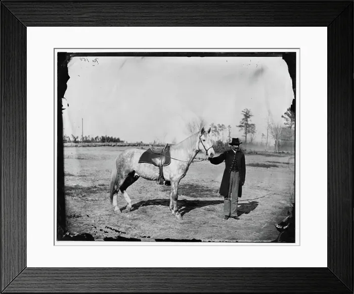 Framed Print : Petersburg, Virginia. Lieutenant Vane and horse Framed Print : Petersburg, Virginia. Lieutenant Vane and horse