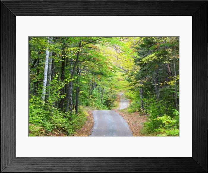 Framed Print : The Sandwich Notch Road in Sandwich, New Hampshire during the autumn months. This historic road was established in 1801 Framed Print : The Sandwich Notch Road in Sandwich, New Hampshire during the autumn months. This historic road was established in 1801