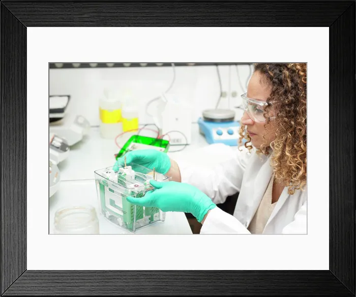 Framed Print : Reportage on the TIRO lab (Oncology Imaging and Radiotherapy Transporters) Framed Print : Reportage on the TIRO lab (Oncology Imaging and Radiotherapy Transporters)