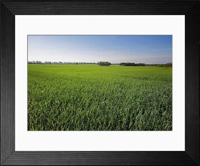 Framed Print : View of a field in Brandenburg. Grossmutz, 03.05.2022, Grossmutz, Germany, Europe Framed Print : View of a field in Brandenburg. Grossmutz, 03.05.2022, Grossmutz, Germany, Europe