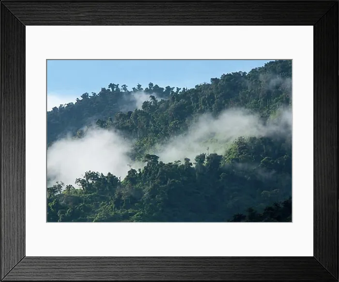 Framed Print : Cloud Forest, Cotacachi Cayapas Ecological Reserve, Imbabura Province, Ecuador, South America