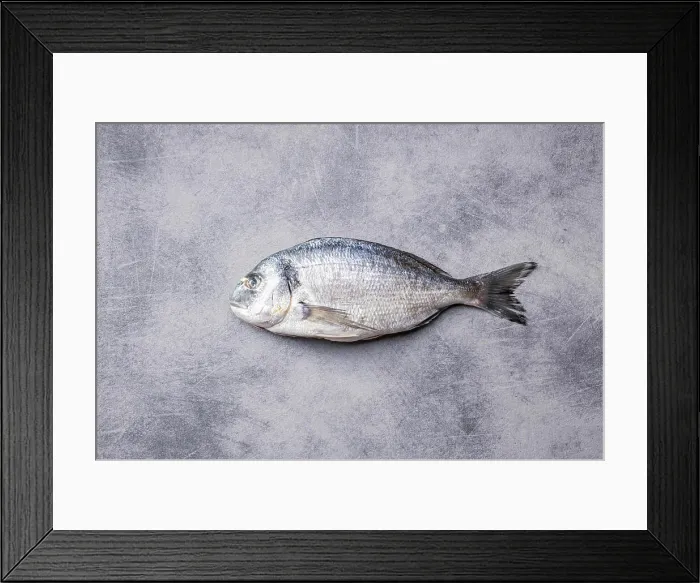 Framed Print : Fresh sea bream fish on kitchen table Framed Print : Fresh sea bream fish on kitchen table