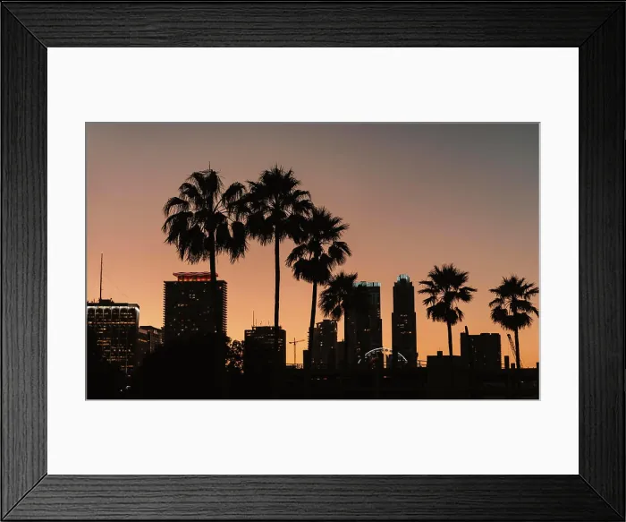Framed Print : city skyline at sunset miami palms Framed Print : city skyline at sunset miami palms