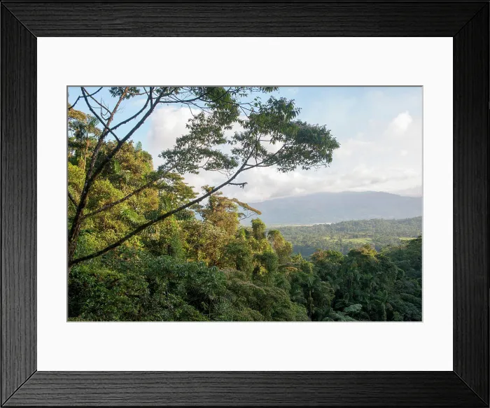 Framed Print : View of the rainforest canopy near the Arenal Volcano in Costa Rica
