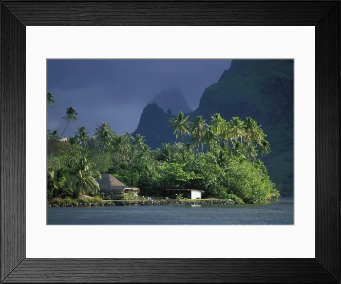 Framed Print : French Polynesia, Moorea, Thatched bungalow and outbuilding on clearing with palm trees