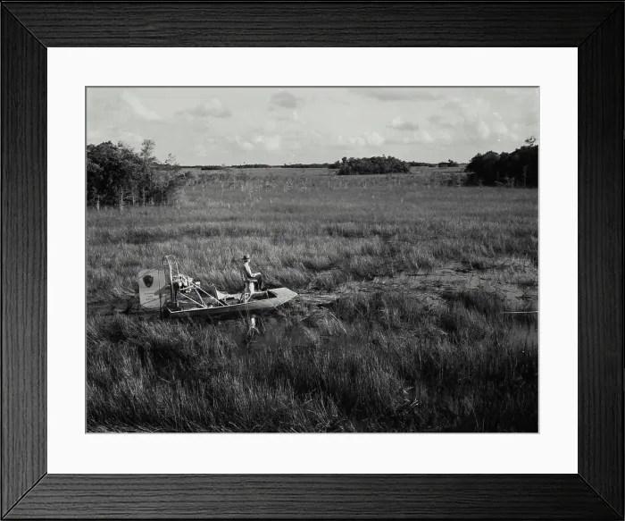 Framed Print : Vintage Photograph. Air boat in the Florida Everglades Framed Print : Vintage Photograph. Air boat in the Florida Everglades
