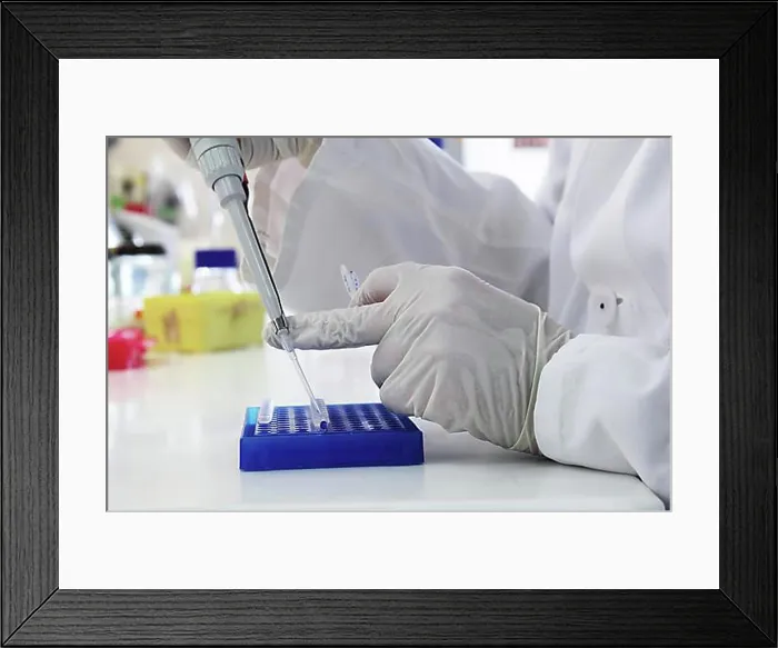 Framed Print : Scientist with specimens in the laboratory
