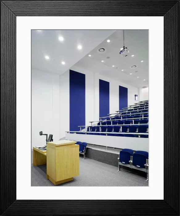 Framed Print : Showing lighting design Framed Print : Showing lighting design