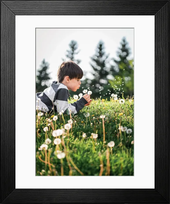 Framed Print : Young boy laying on the grass blowing seeds off of a dandelion flower Framed Print : Young boy laying on the grass blowing seeds off of a dandelion flower