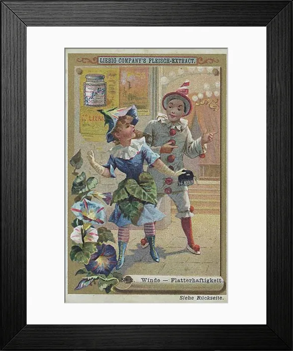 Framed Print : Picture series Properties of Flowers Framed Print : Picture series Properties of Flowers