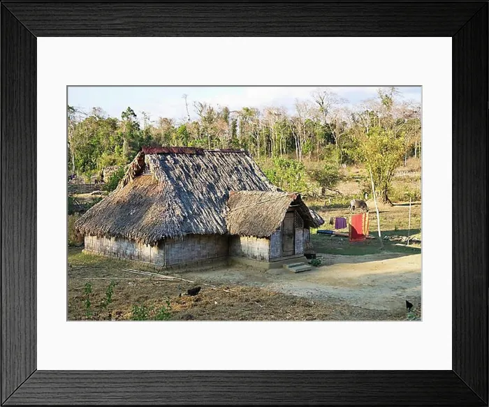 Framed Print : Farmhouse, North-Andaman, Andaman Islands, India, South Asia, Asia Framed Print : Farmhouse, North-Andaman, Andaman Islands, India, South Asia, Asia