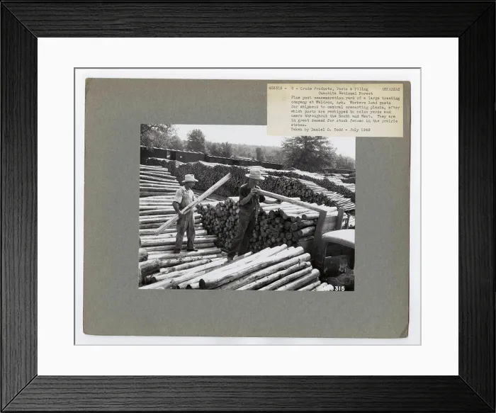 Framed Print : Crude Products: Ties and Mine Props